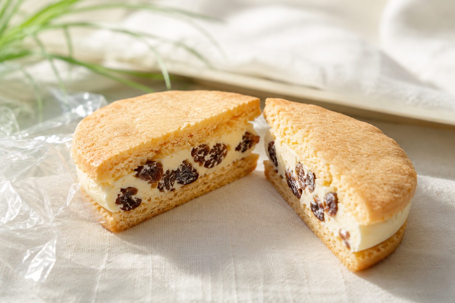 レーズンバターサンドの断面。サブレに発酵バタークリームとレーズンを挟んだ萌え断